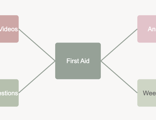 USMLE Step 1 review term study strategy diagram showing interconnected elements: First Aid as central resource, connected to USMLE-Rx Videos, Practice Questions, Annotations, and Weekly Review in sage green and pink color scheme